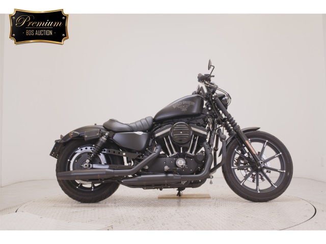 Harley-Davidson XL883N 2015