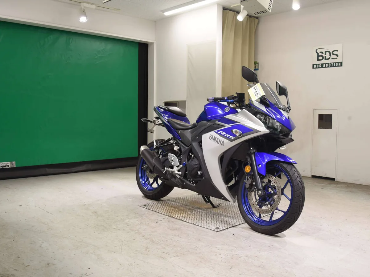 Yamaha YZF-R25