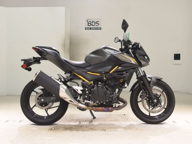 Kawasaki Z500-2 2026